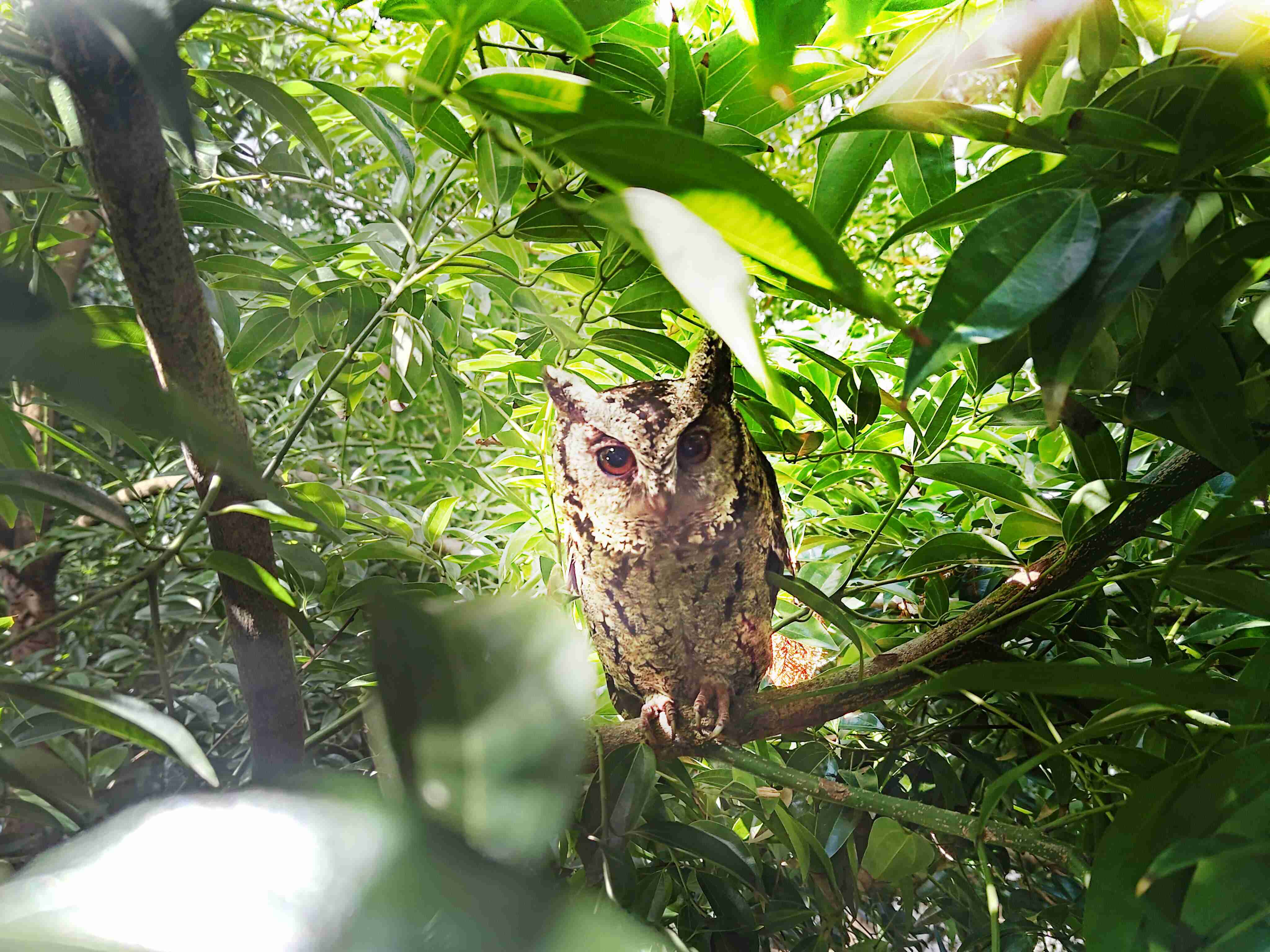 尊龙集团致力提倡净零绿生活，，，，16年以来在全球各厂区植树逾百万棵，，，造就各厂区树木蔚然成林，，，，犹如森林工厂，，，成为许多生物的栖息地